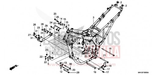 FRAME BODY CRF1000D2J de 2018